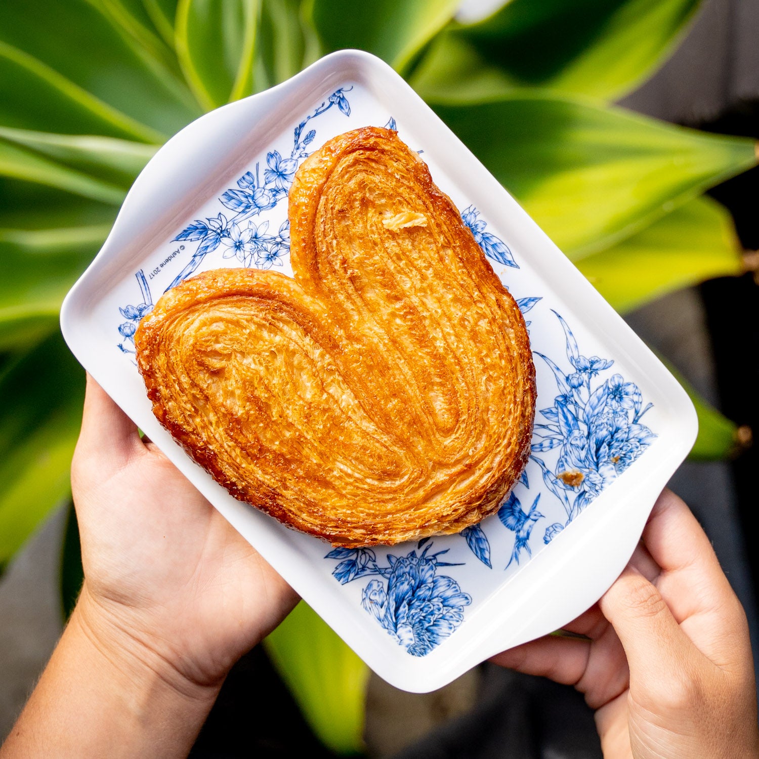 Palmier
