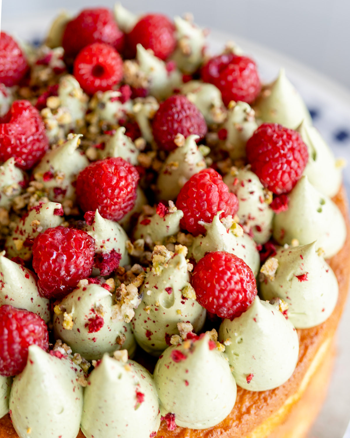 Orange Almond Cake, Pistachio Buttercream & Raspberries GF